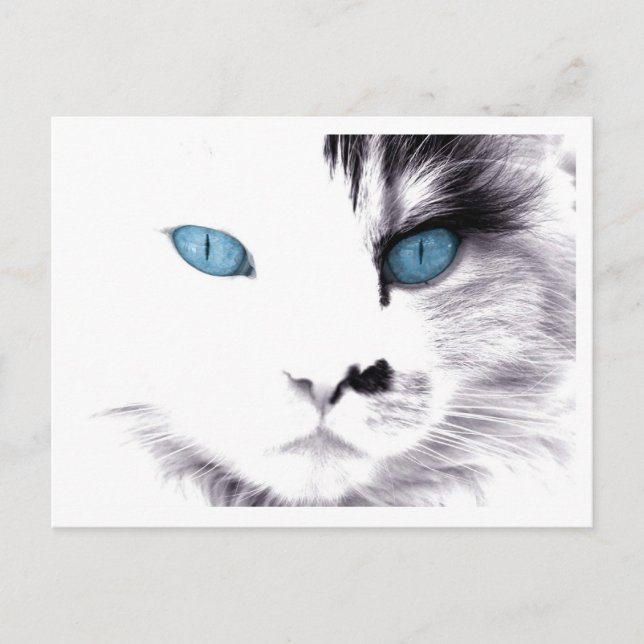 Postales de ojos de gato (Anverso)