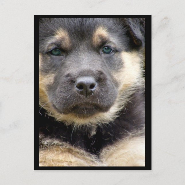 Postales de ojos inteligentes (Anverso)