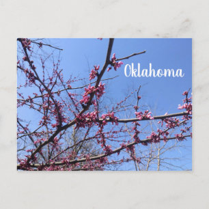Postales de Oklahoma Redbud
