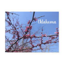 Postales de Oklahoma Redbud