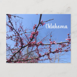 Postales de Oklahoma Redbud