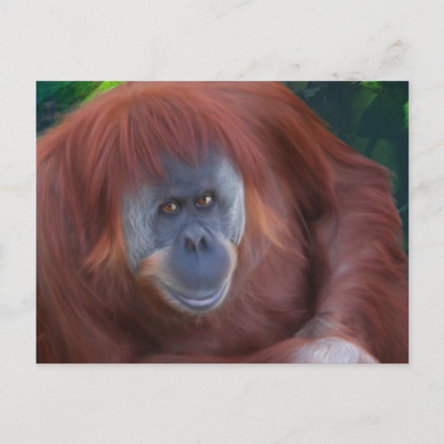 Postales de Orangutan (Anverso)