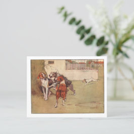 Postales de Oro Blanco y Peter