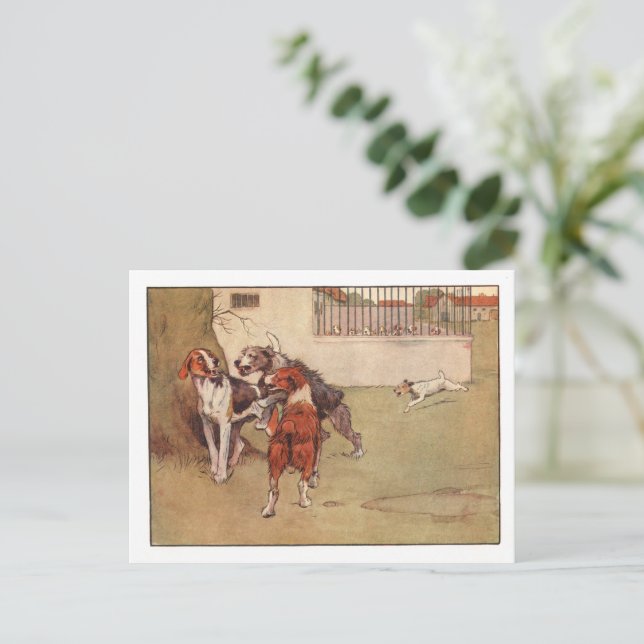 Postales de Oro Blanco y Peter (Anverso de pie)