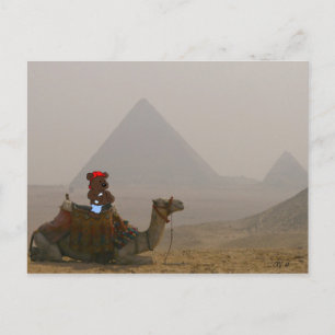 Postales de 'Oso en Egipto'