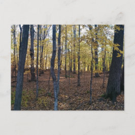 Postales de otoño amarillas