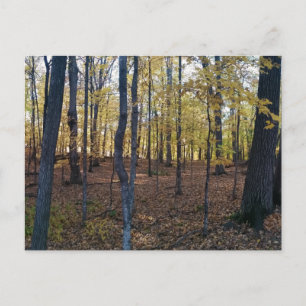 Postales de otoño amarillas