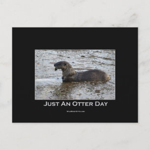 Postales de Otter