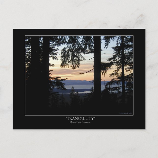 Postales de paisaje forestal (Anverso)