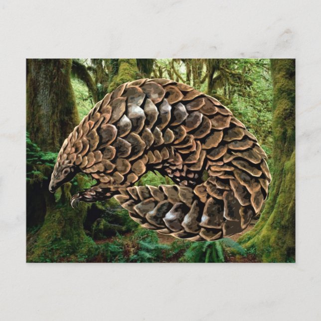 Postales de Pangolin (Anverso)