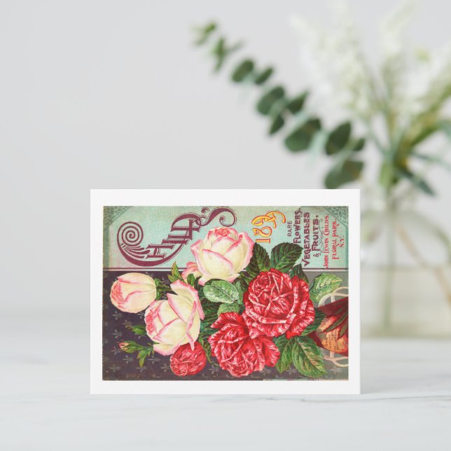 Postales de paquetes de semillas (Anverso de pie)