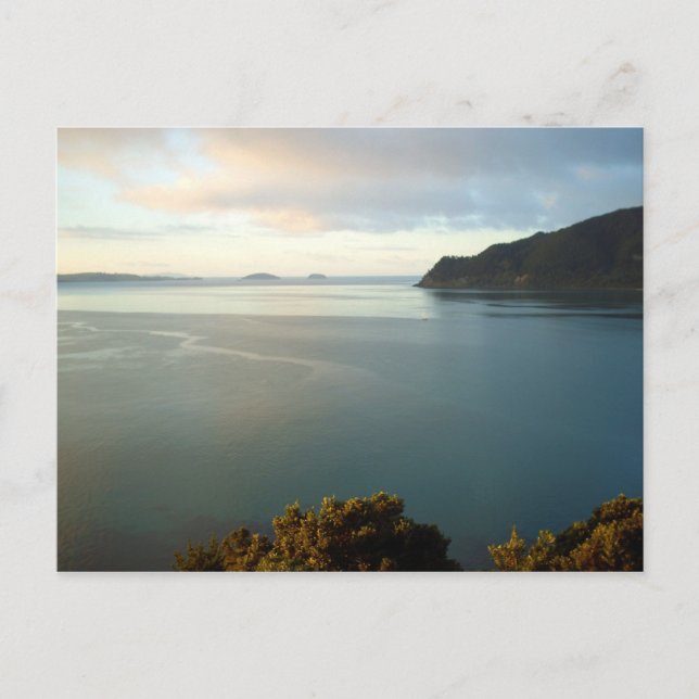 Postales de Pauanui Beach Bay New Zealand (Anverso)