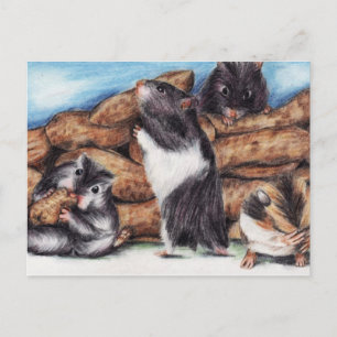 Postales de Peanut Masons (Hamster)