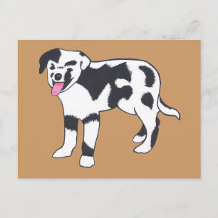 Postales de perro con manchas blancas y negras