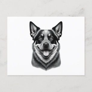 postales de perro de ganado australiano, Charming 