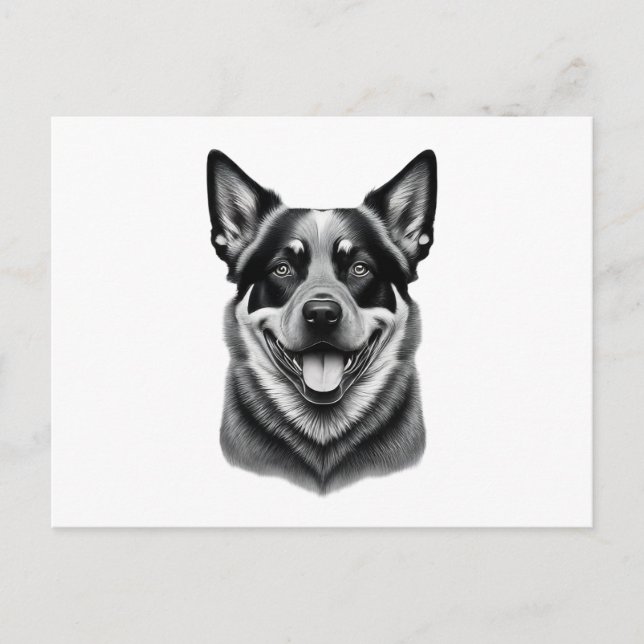 postales de perro de ganado australiano, Charming  (Anverso)