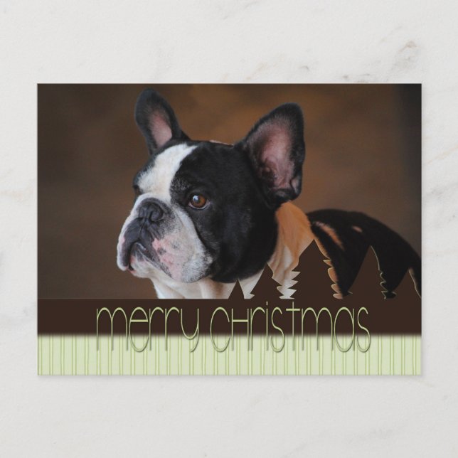 Postales de Perro Terrible de Boston Feliz Navidad (Anverso)