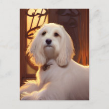 Postales de perros copiosos cubanos de Haván