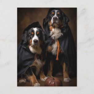 Postales de perros montañeses de Halloween