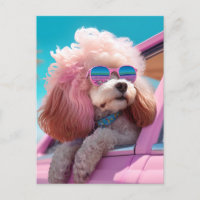 Postales de perros rosados de larga duración