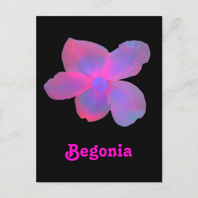 Postales de Personalizable de Begonia fluorescente (Anverso)