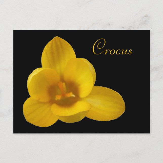 Postales de Personalizable de Crocus amarillo (Anverso)