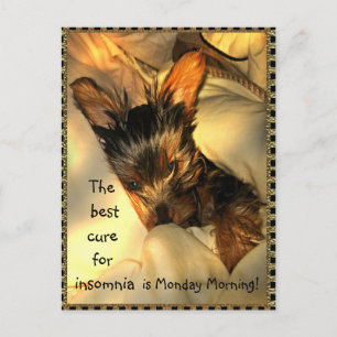 Postales de Personalizable de Sleepy Yorkie
