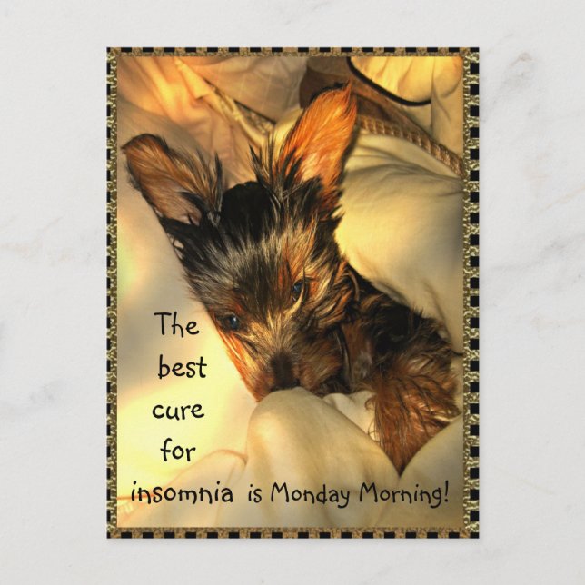 Postales de Personalizable de Sleepy Yorkie (Anverso)