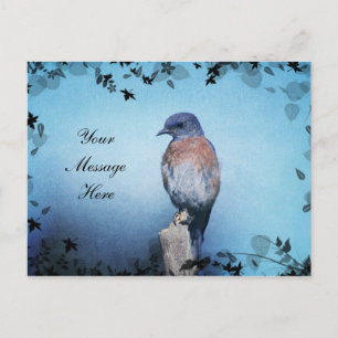 Postales de _Personalizable encantadas de Bluebird