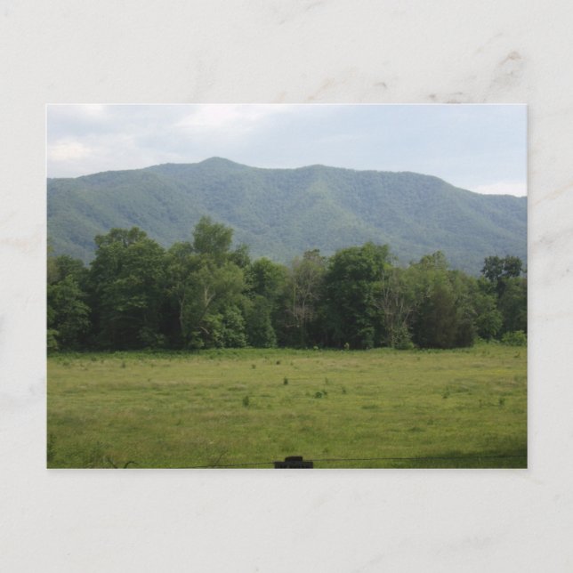 Postales de personalizado Cades Cove (Anverso)
