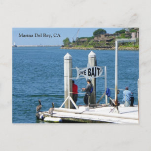 Postales de pesca de Marina Del Rey