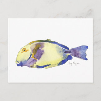 Postales de pescado amarillo/azul