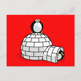Postales de pingüino e igloo