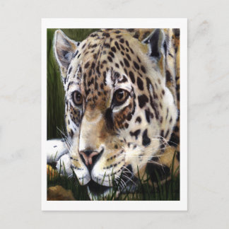 Postales de pintura de chitas