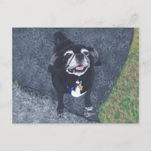 Postales de pintura de perros de pug facial feliz