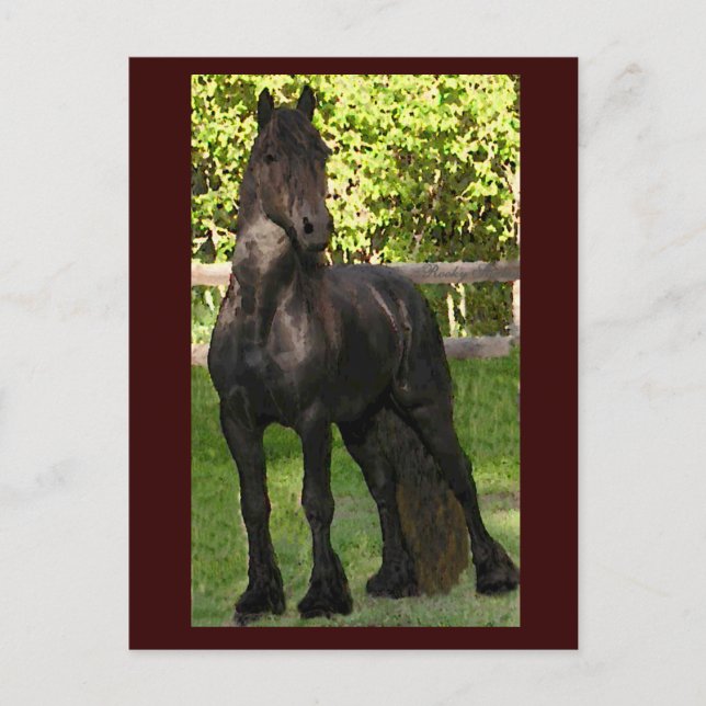 Postales de pintura de Stallion (Anverso)