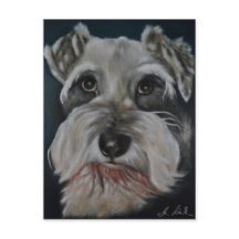 Postales de pintura Schnauzer