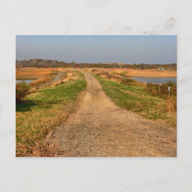 Postales de Plum Island (Anverso)