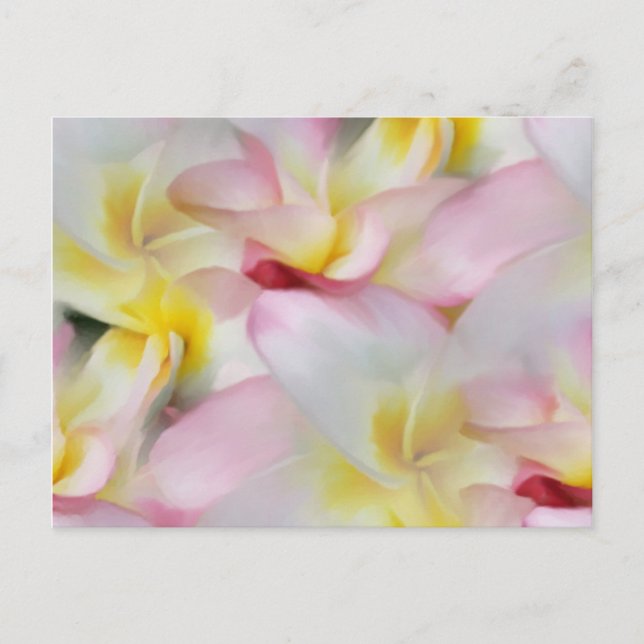 Postales de plumeria acuarela (Anverso)