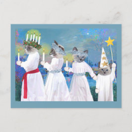 Postales de procesión de Santa Lucía para gatitos