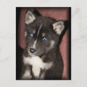 postales de puppy_eyes