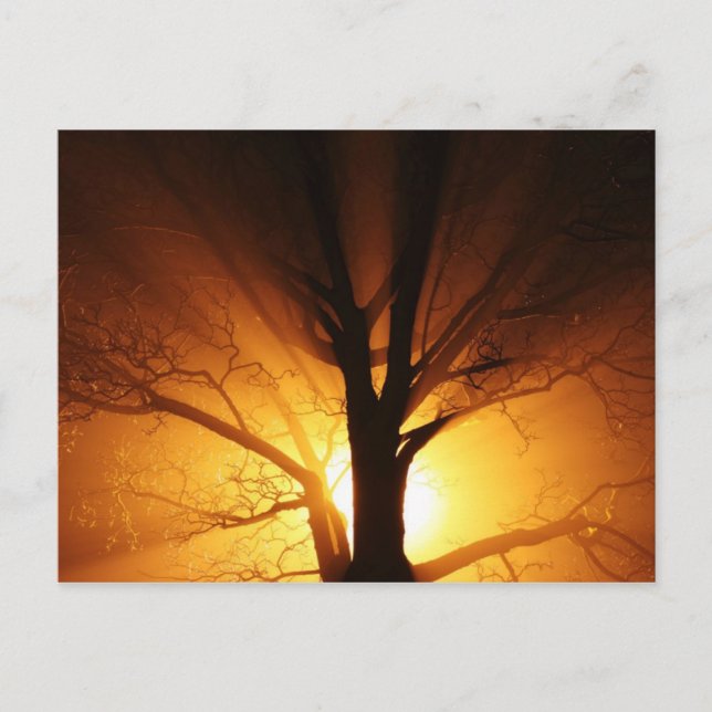 Postales De Rayos Ligeros (Anverso)