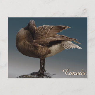 Postales de recuerdo de Canadá para tarjetas de Ca