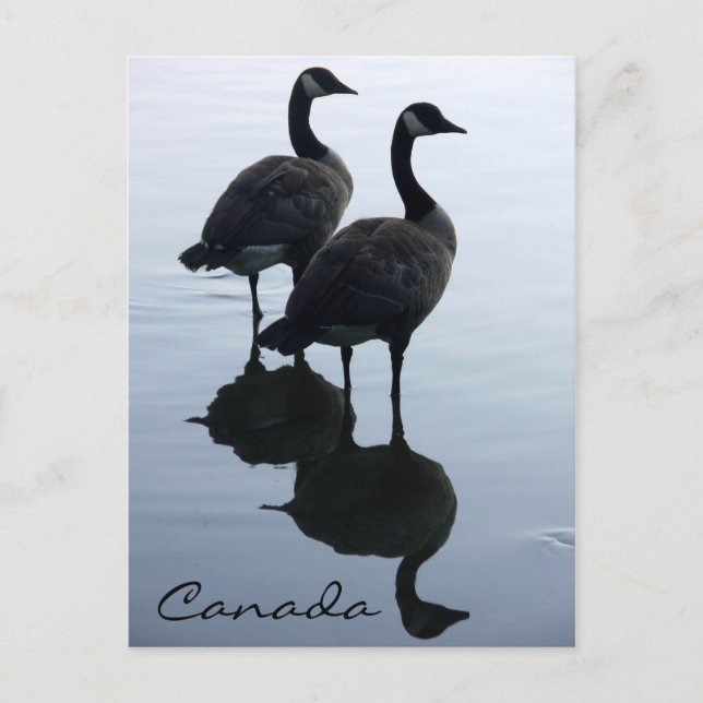 Postales de recuerdo de Canadá para tarjetas de Ca (Anverso)