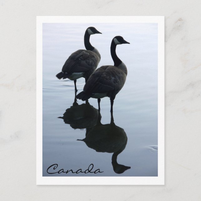 Postales de recuerdo de Canadá para tarjetas de Ca (Anverso)