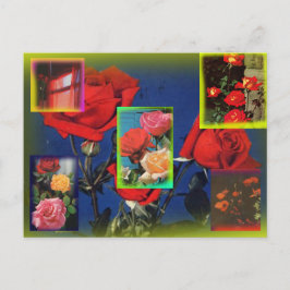 Postales de Rosa silvestre