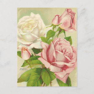 Postales de Rosas de época