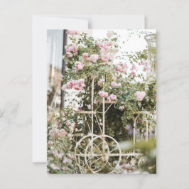 Postales de Rosas de escalada de flores