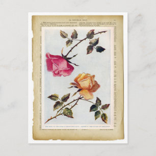 Postales de rosas y amarillas victorianas II