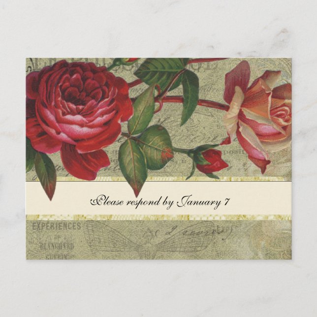 Postales de RSVP de estilo Rosa francés botánico (Anverso)